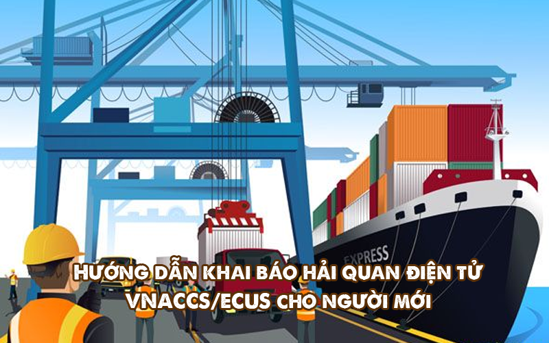 Hướng dẫn khai báo hải quan điện tử VNACCS/ECUS 2026 cho người mới