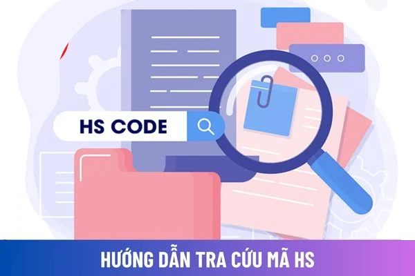 Hướng dẫn tra cứu mã HS code