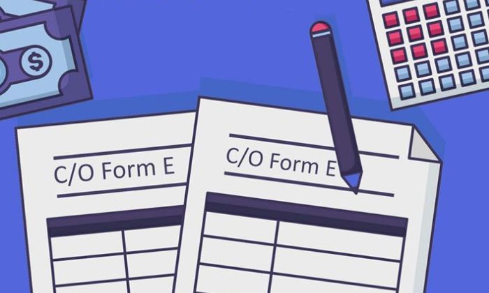 Quy định pháp lý về CO Form E