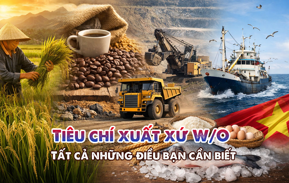 Tiêu chí xuất xứ WO là gì? Tất cả những điều bạn cần biết.